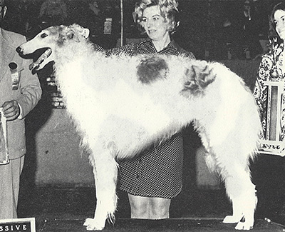 Top Obedience Borzoi 1976